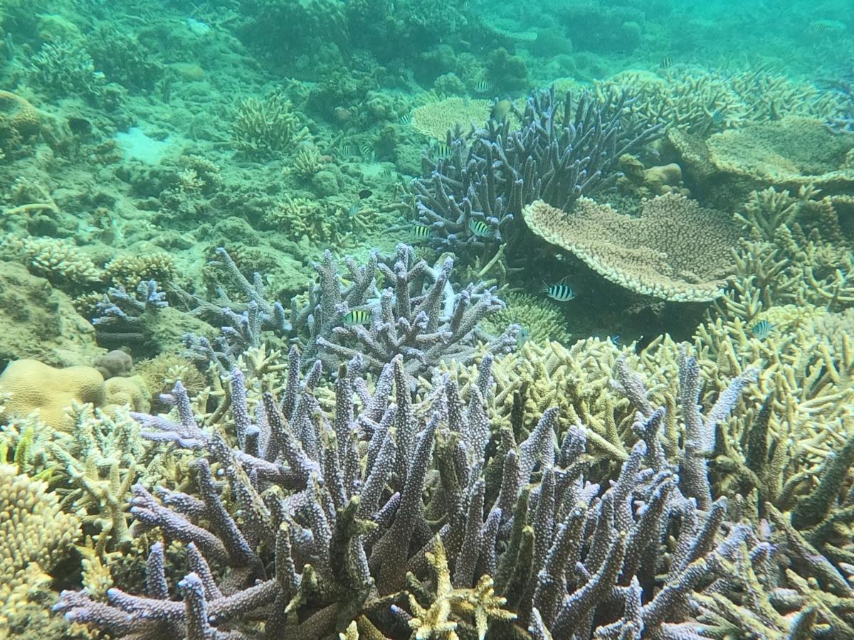 Tammoyo Place Kudat Esterno foto